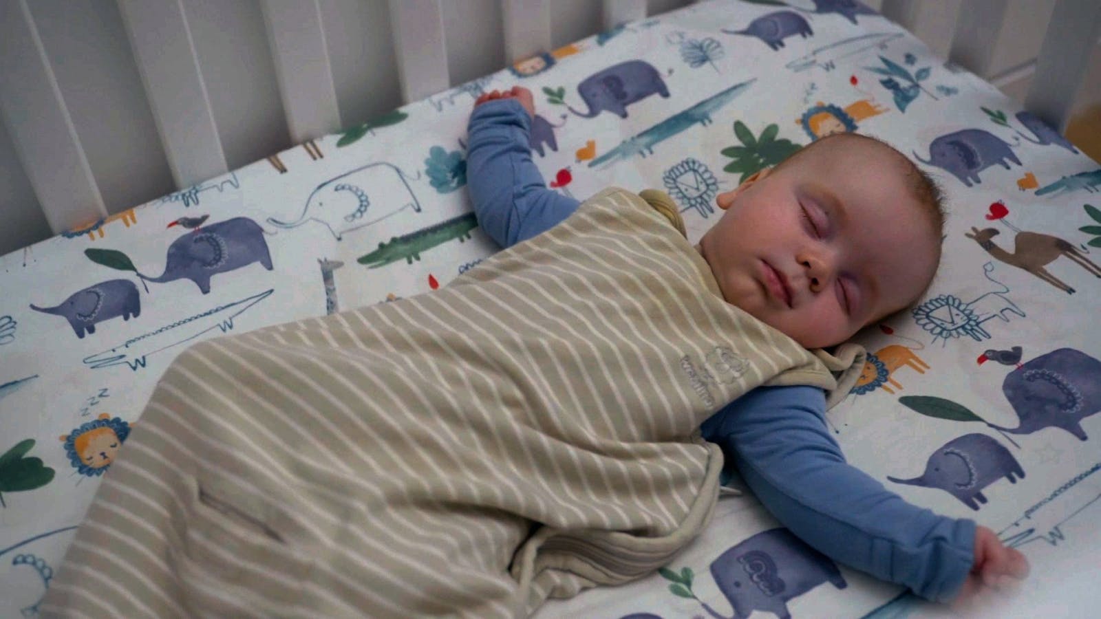 Preview image of 'Sleep 101: The Baby Sleep Solution (4–24 Months)'
