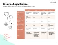 Preview image of Handout: Breastfeeding Milestones