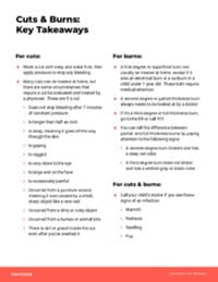 Preview image of Handout: Cuts & Burns - Key Takeaways