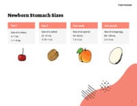 Preview image of Handout: Newborn Stomach Sizes