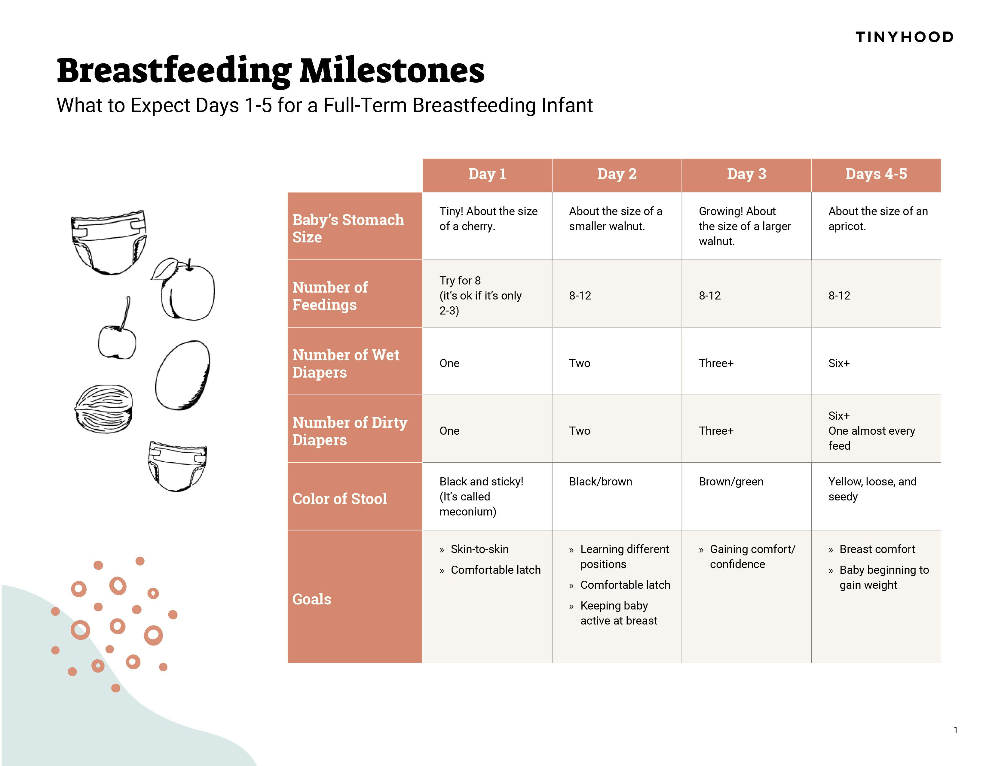 Preview image of Handout: Breastfeeding Milestones
