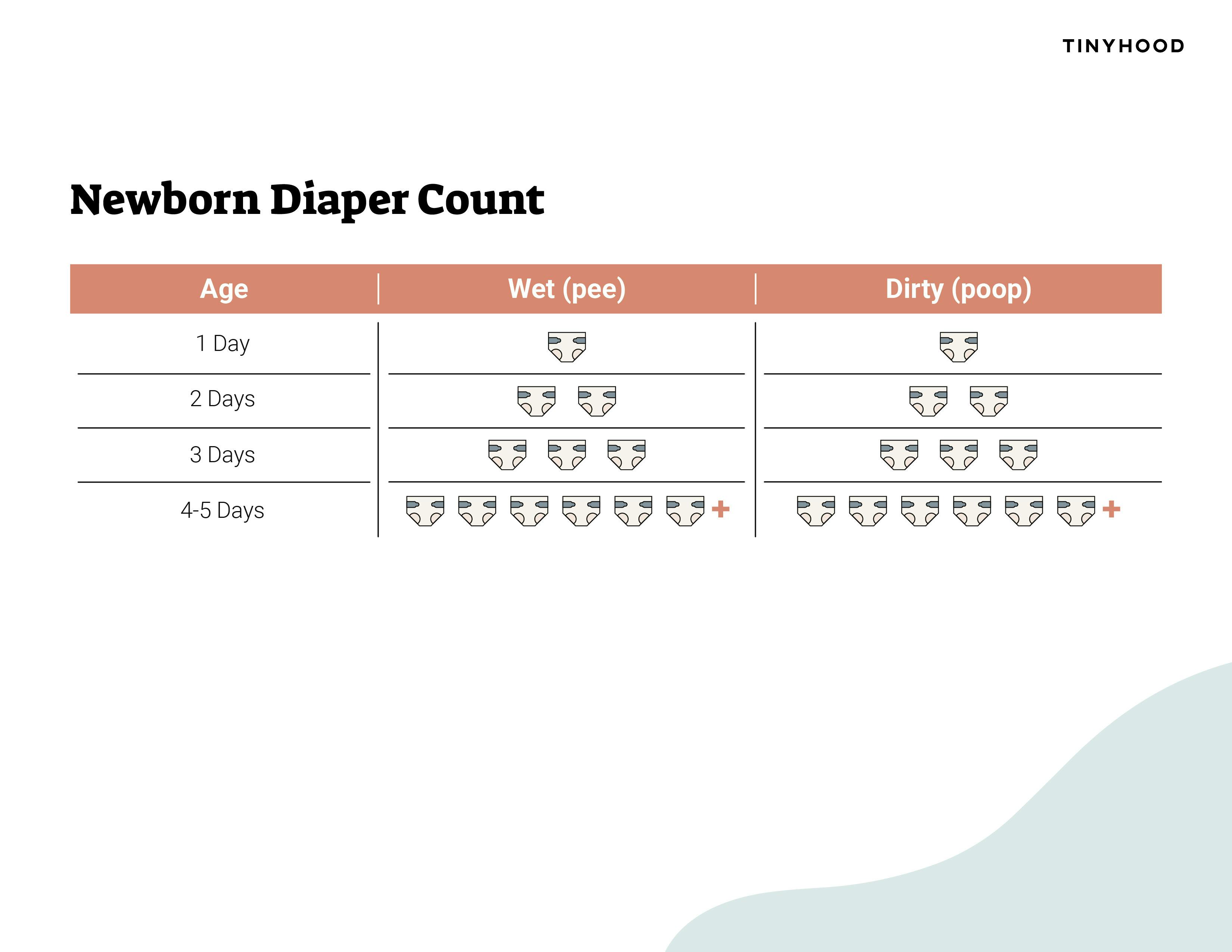Preview image of Handout: Newborn Diaper Count