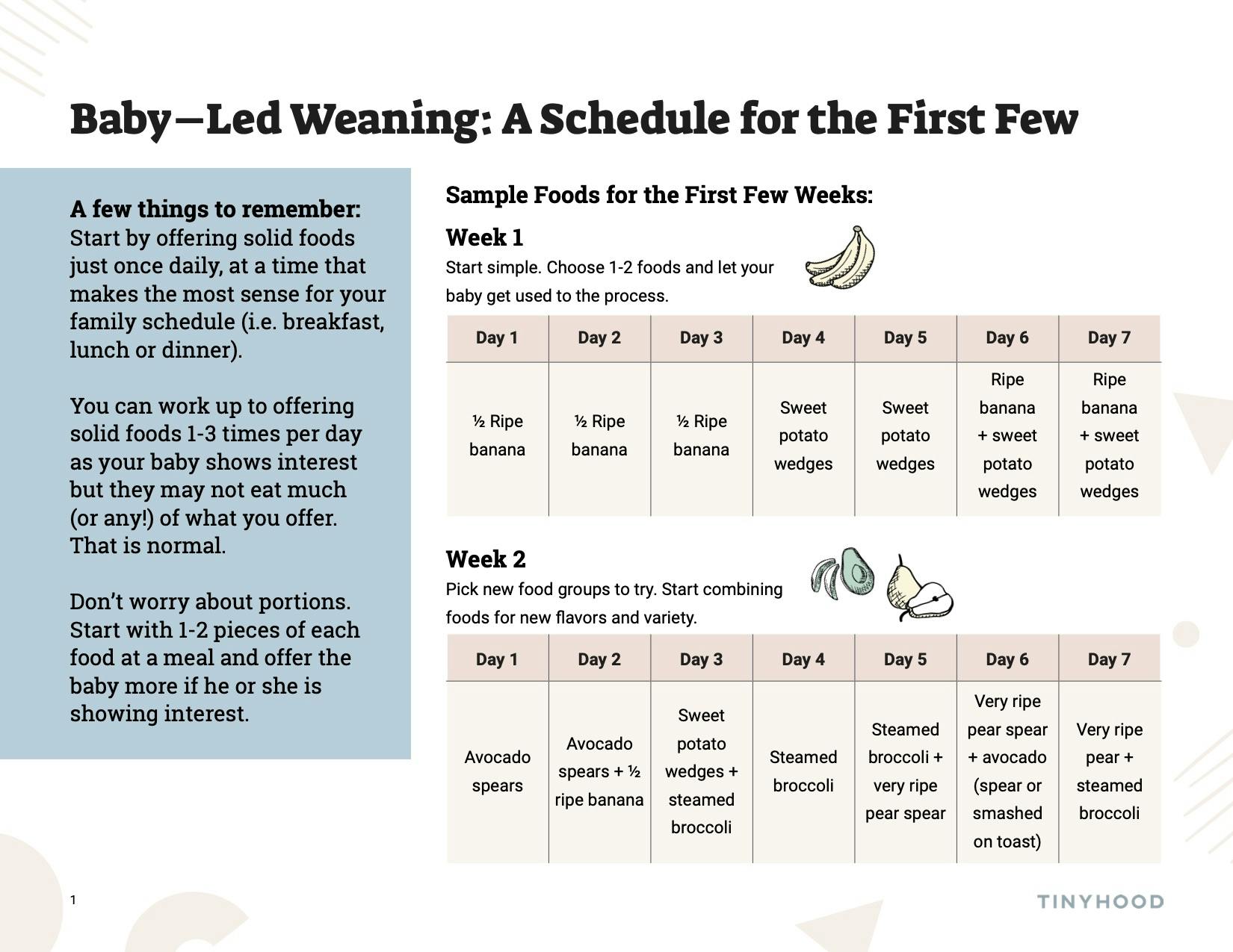Preview image of Handout: Feeding Schedule for the First Few Weeks of BLW