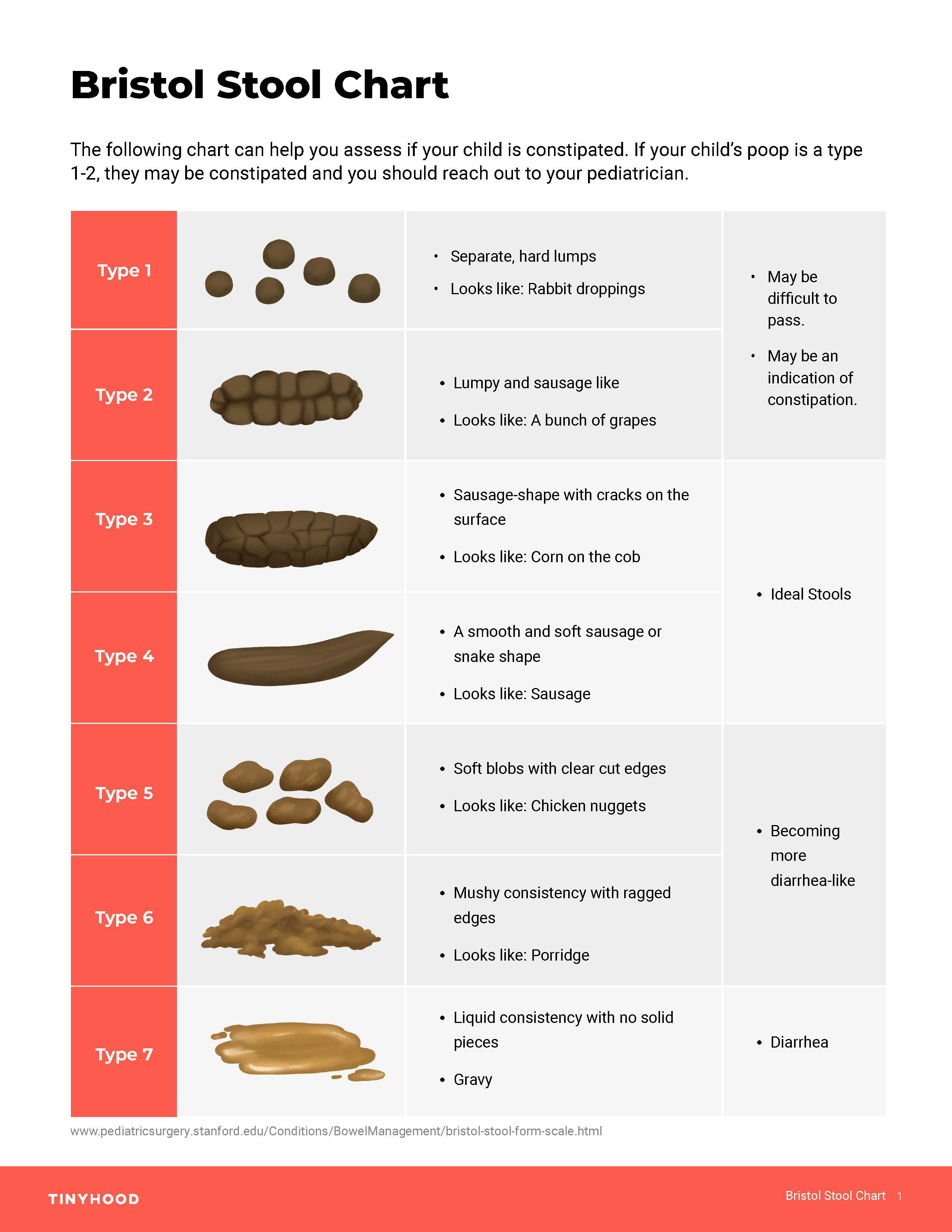 Preview image of Handout: Bristol Stool Chart