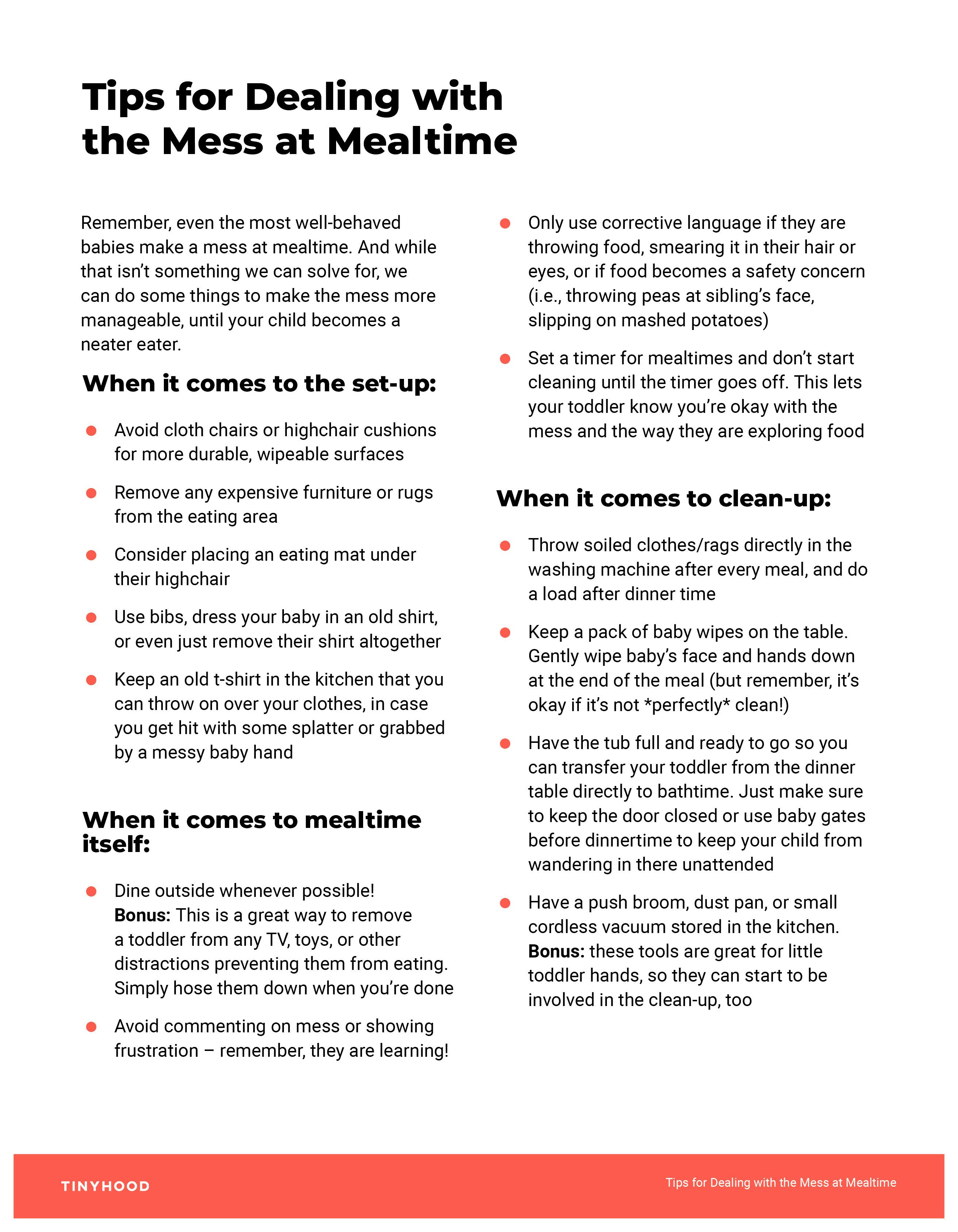 Preview image of Handout: Tips for Dealing with the Mess at Mealtime