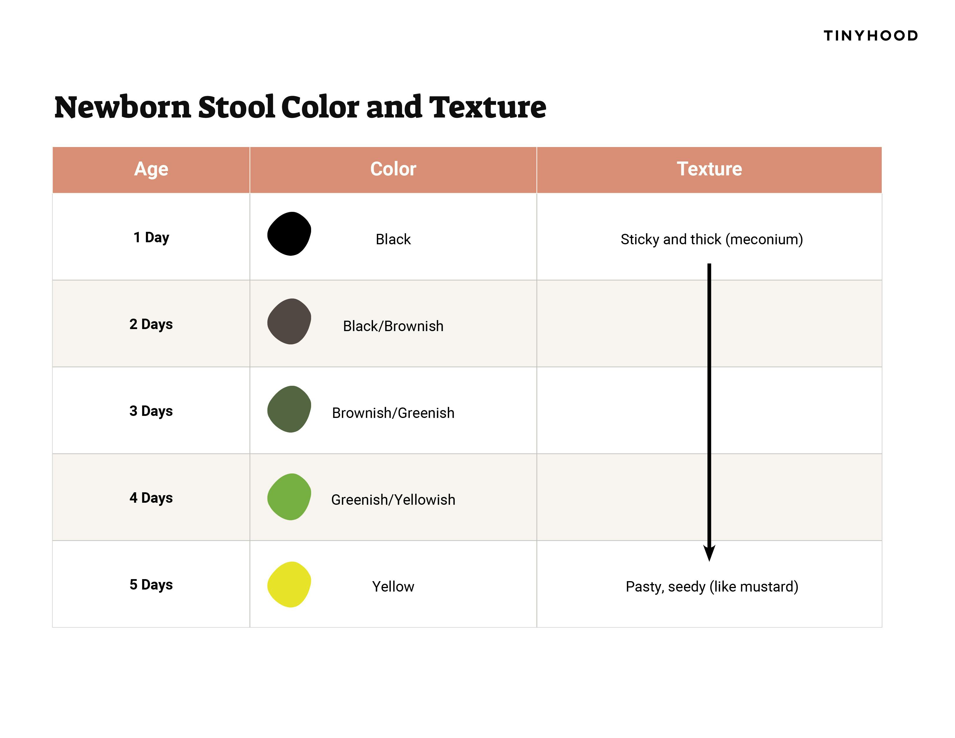 Preview image of Handout: Newborn Stool Color Chart