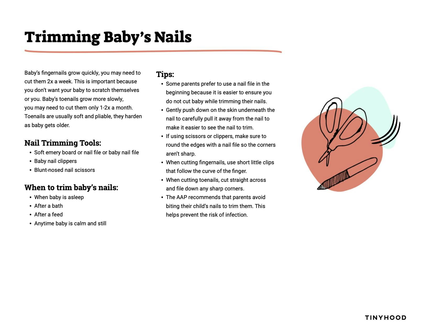 Preview image of Handout: Trimming Baby's Nails