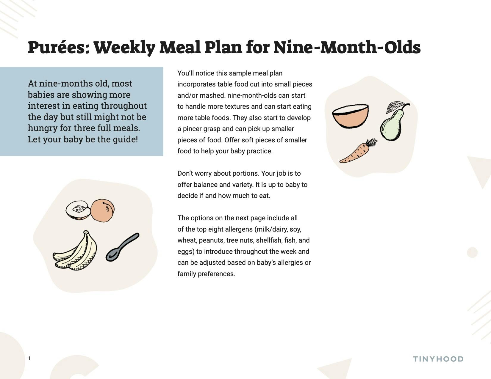 Preview image of Handout: Weekly Meal Plan for 9 Month Olds