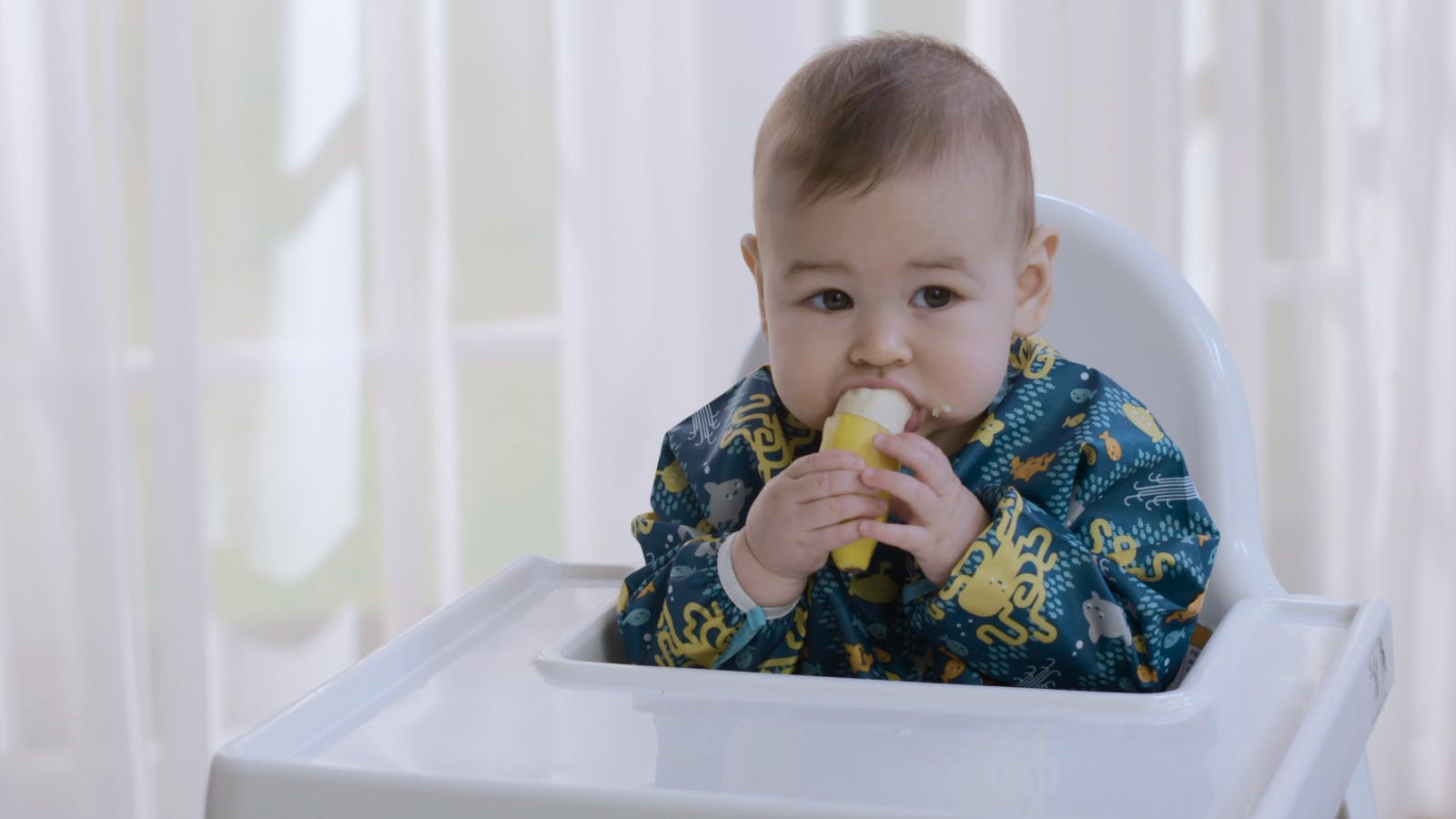 Preview image for class Baby-Led Weaning: A New Approach for Starting Solids